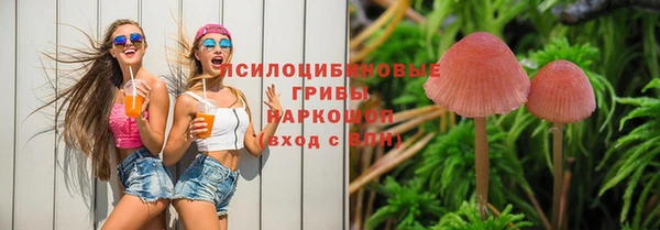 гидра Ханты-Мансийск