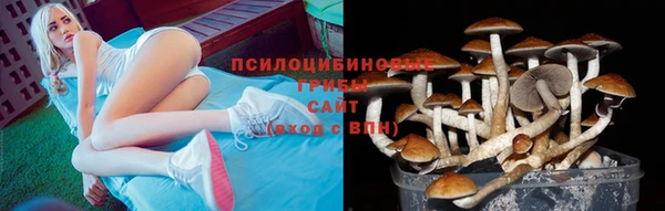 MDMA Premium VHQ Сосновоборск