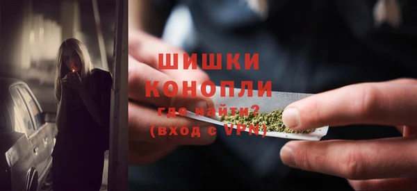 хмурый Сосновый Бор