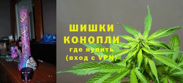 PSILOCYBIN Михайловск